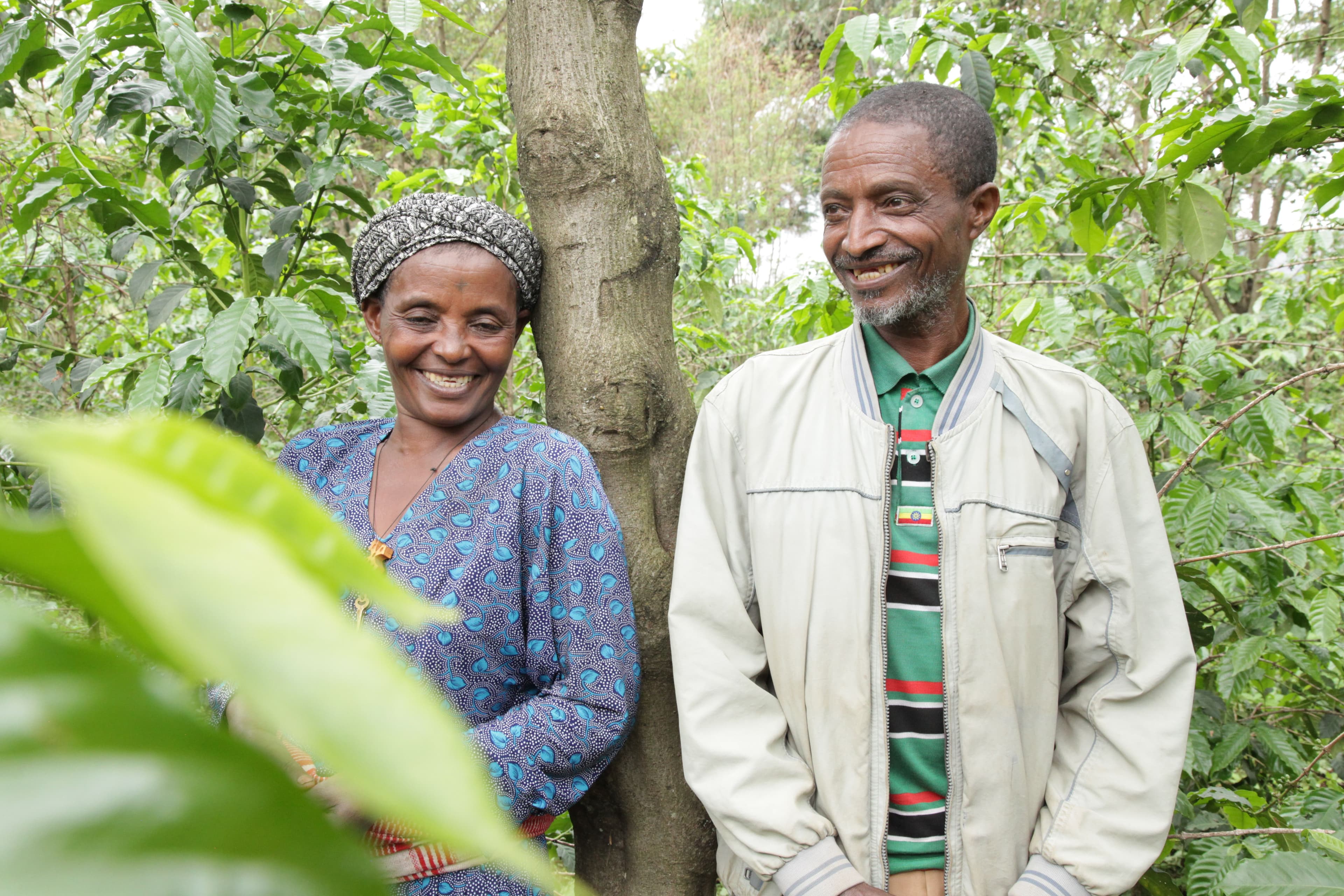 A Starting Point from ICP A Starting Point from ICP