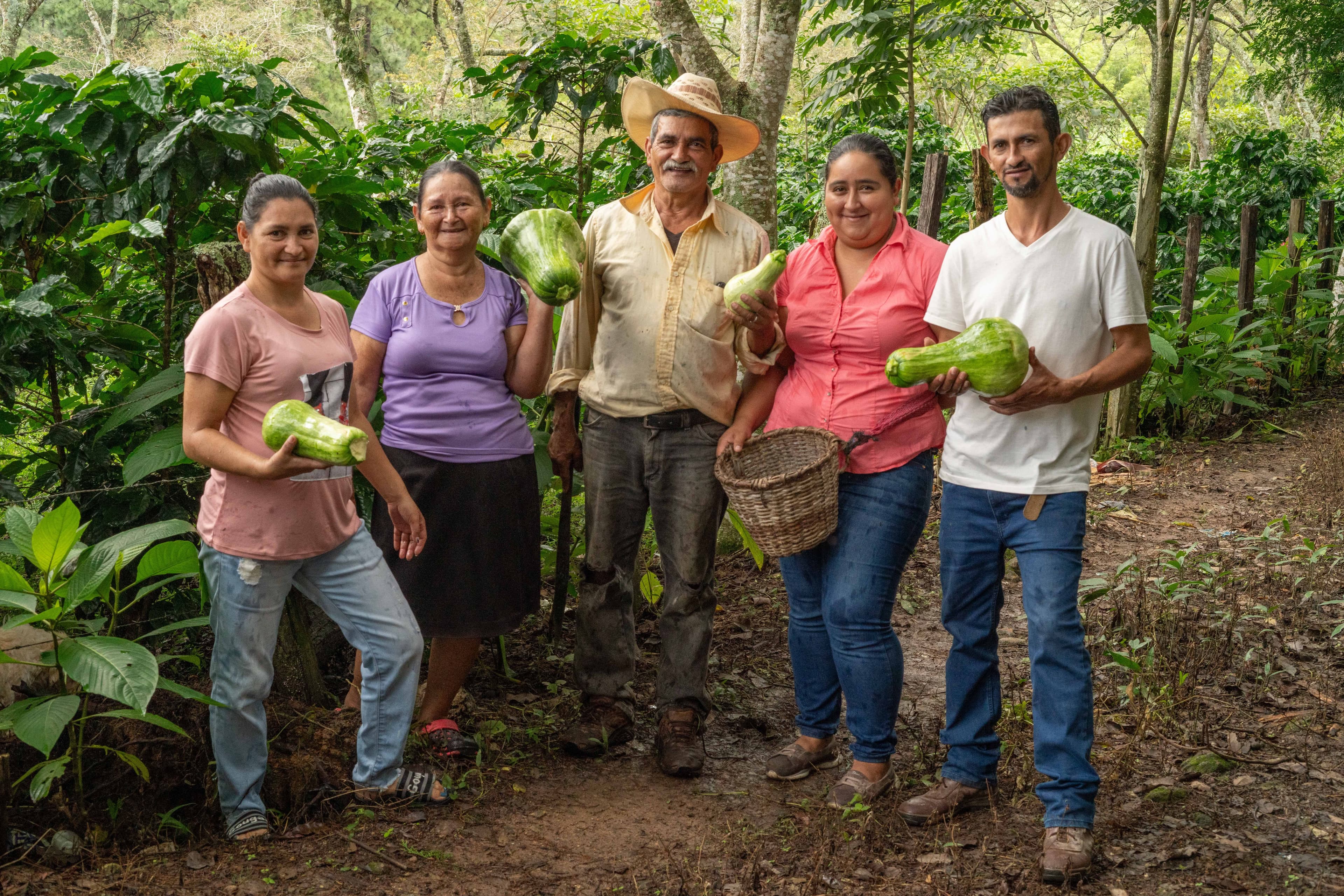 Honduras Vegetable Gardens