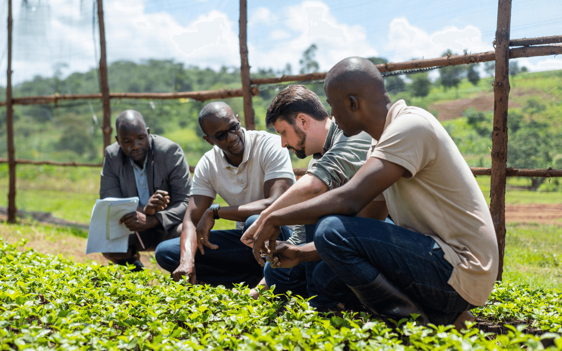 If you want to go far, go together If you want to go far, go together