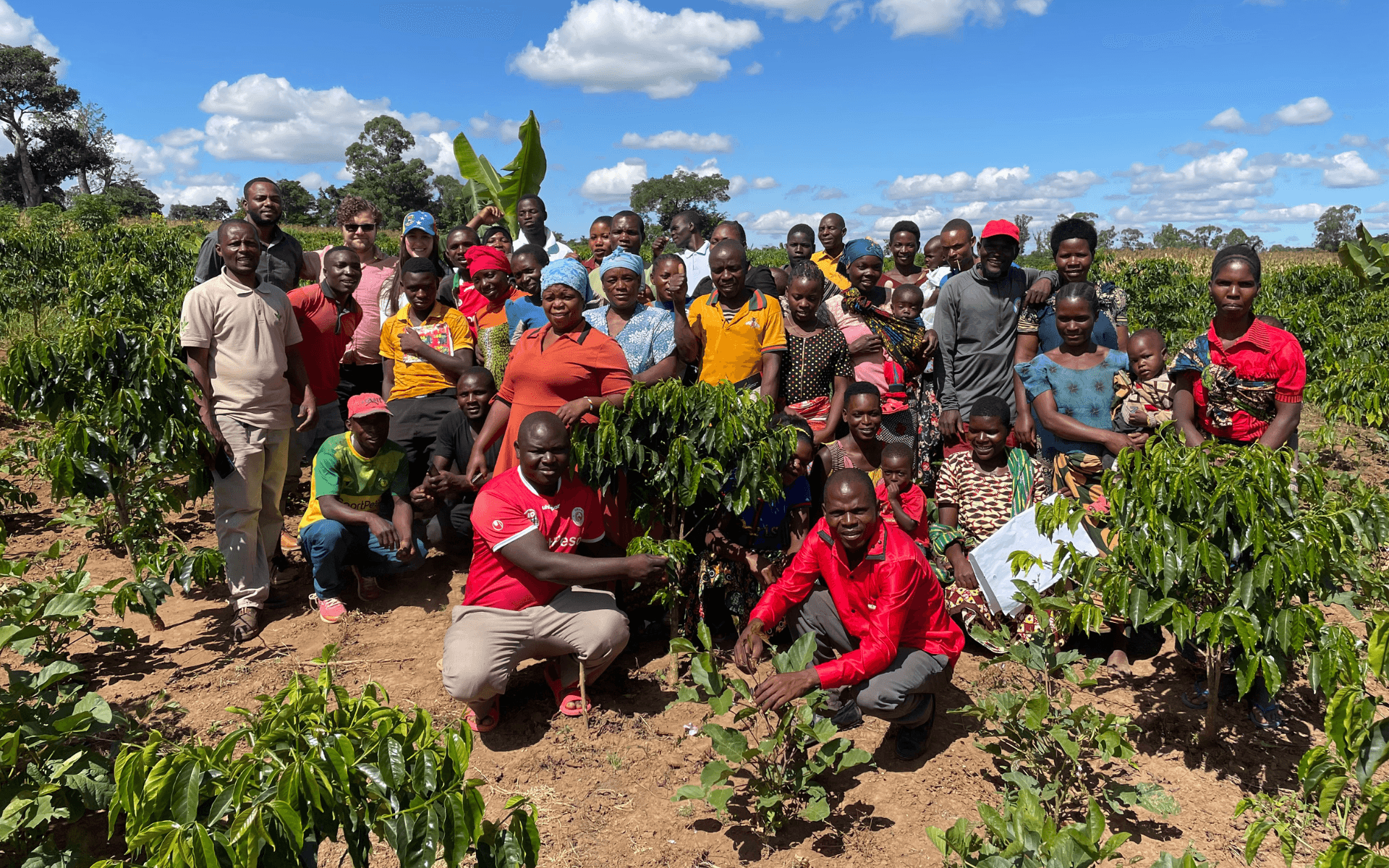 Visiting Tanzania – A Glimpse behind the Cup of Coffee