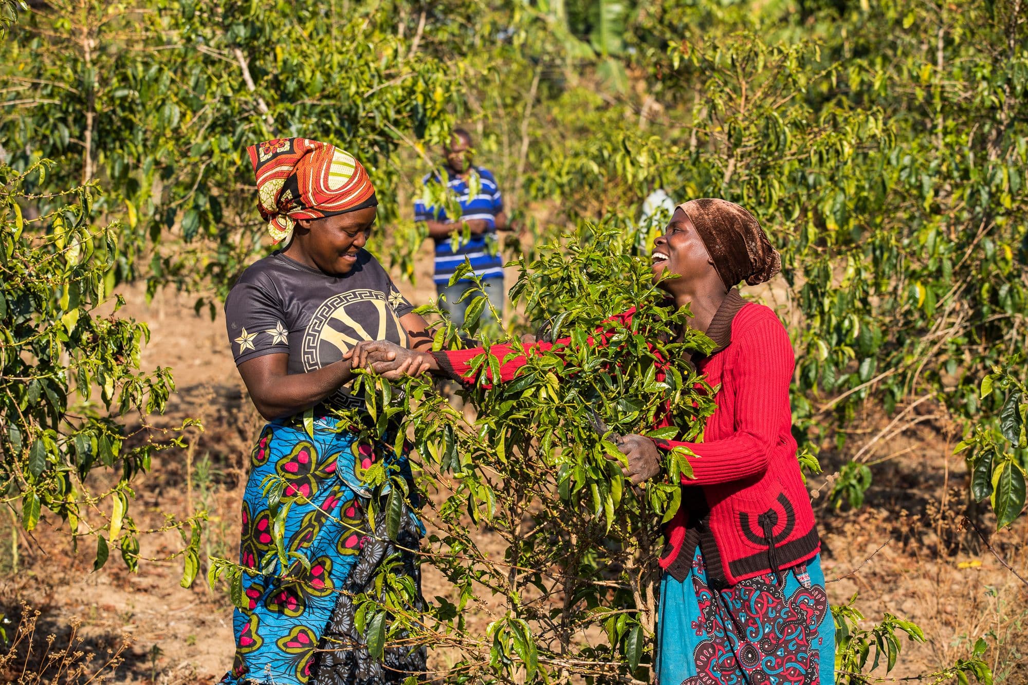 UN Sustainable Development Goals UN Sustainable Development Goals